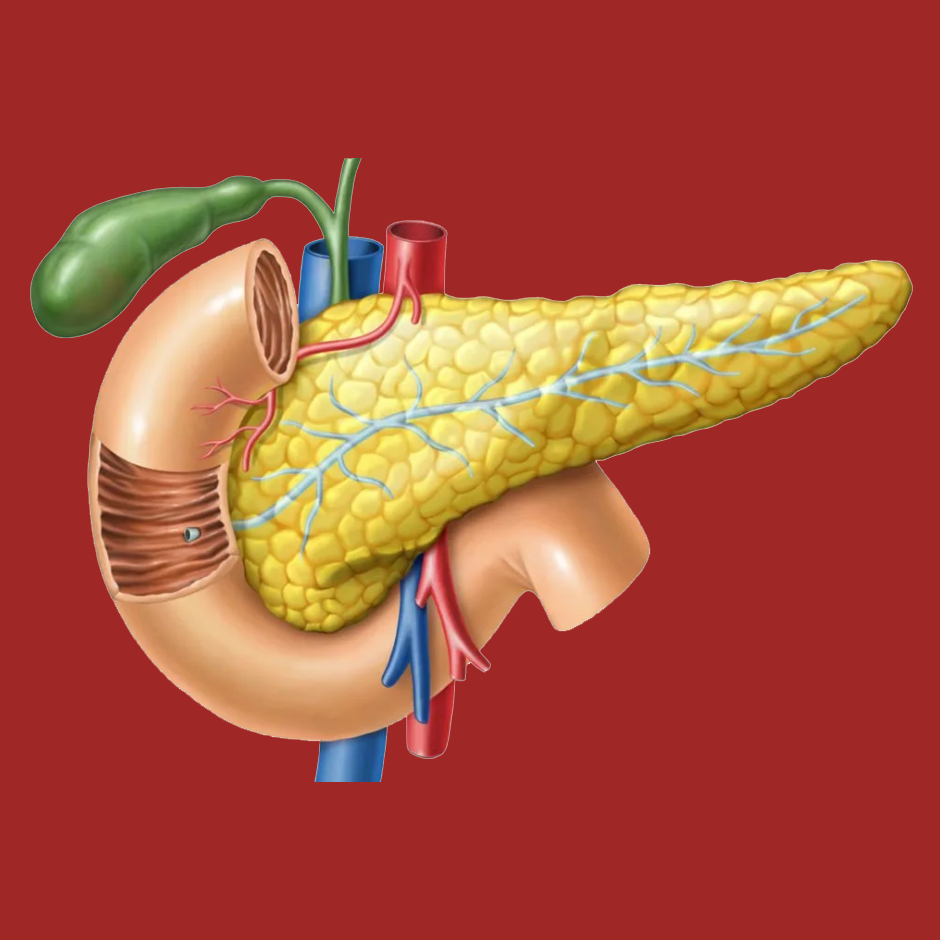 Endokrinologiýa